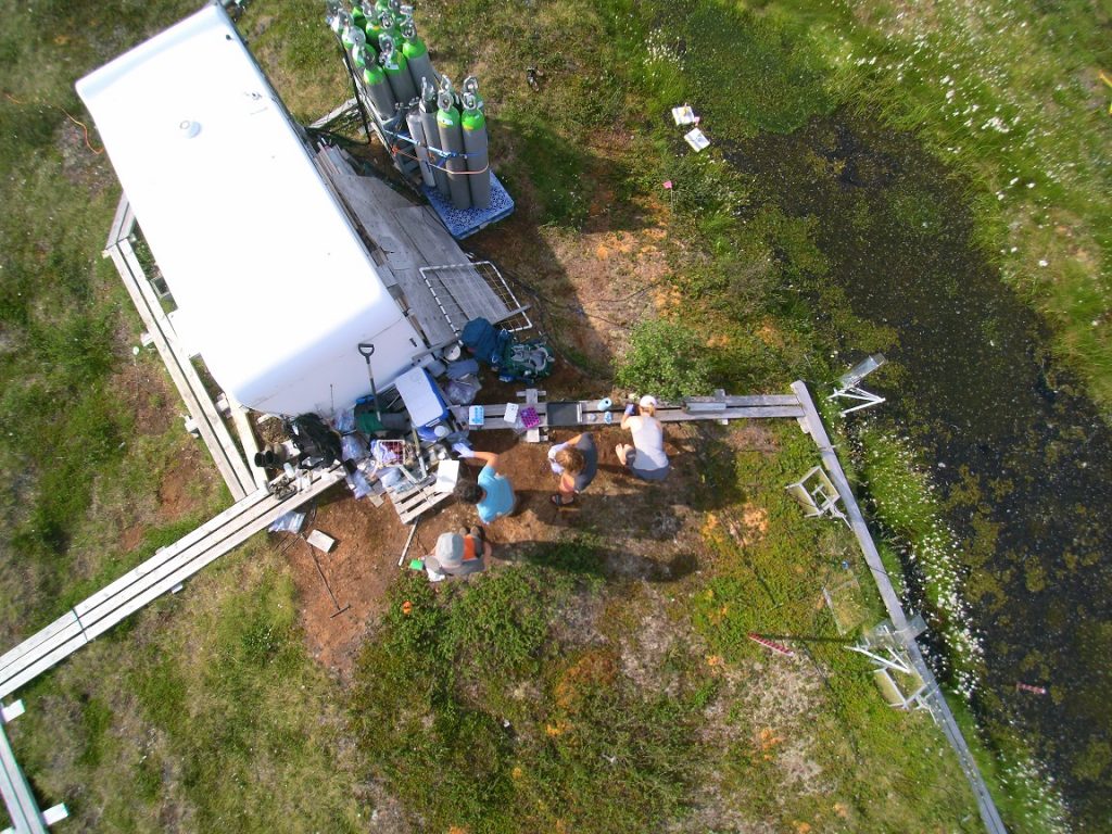 Overhead drone photo of researchers processing samples in the field (Credit: K Rocci)